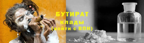 сатива Няндома
