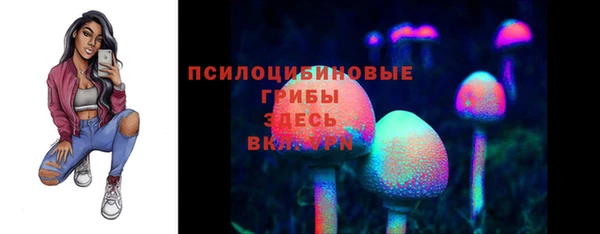 амф Абинск