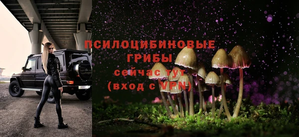 сатива Няндома