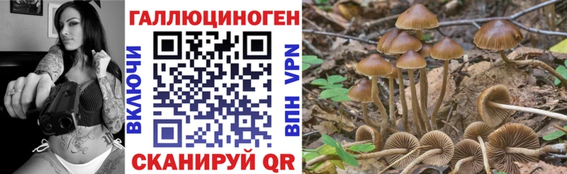 Галлюциногенные грибы Psilocybe  KRAKEN маркетплейс  Нерехта 