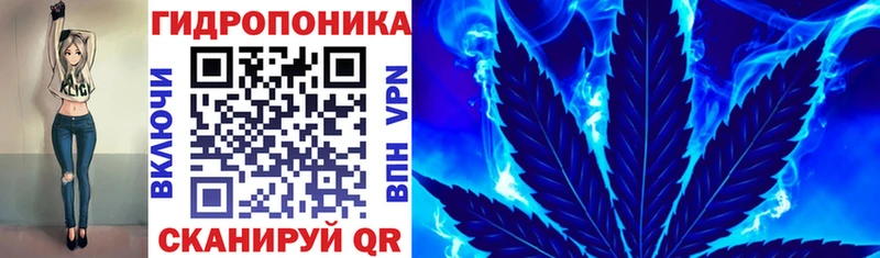 Бошки Шишки Amnesia  Нерехта 